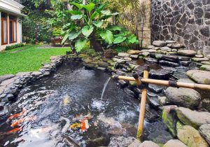 Kolam-Ikan-RumahHokie.com-istimewa-pinterest